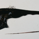 Image: Wikipedia